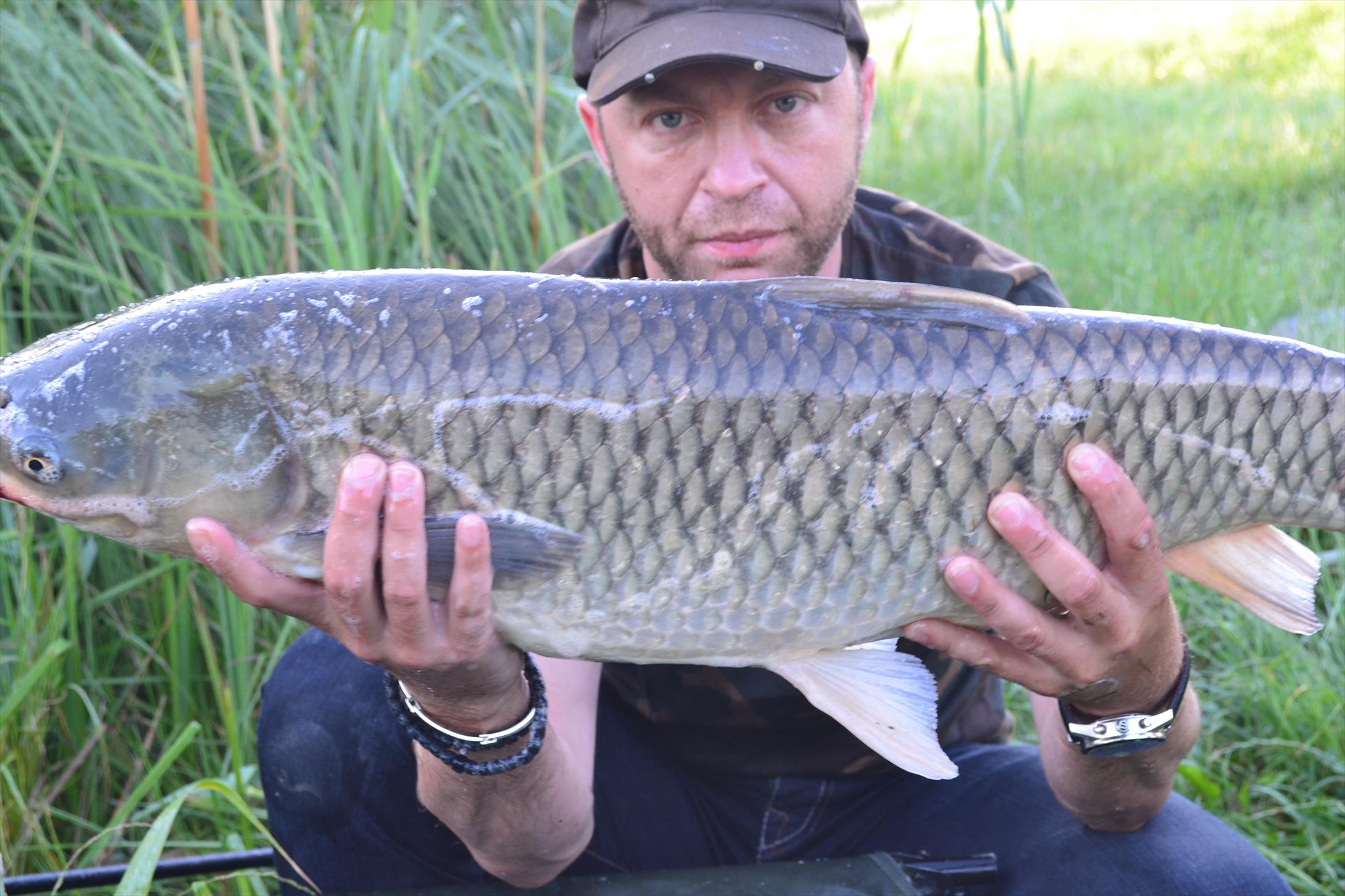 Pescuit Balta Lazar 6-8 iunie 2014 - dsc0013.JPG